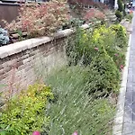 Sweet Garden *
