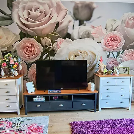Apartment Sweet Garden Brasov