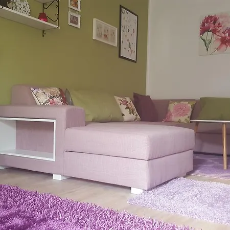 Apartment Sweet Garden Brasov