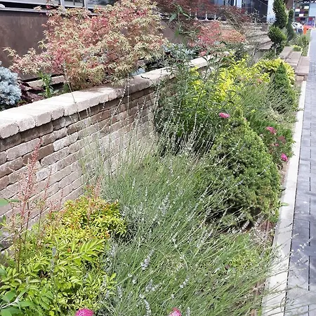 Sweet Garden *