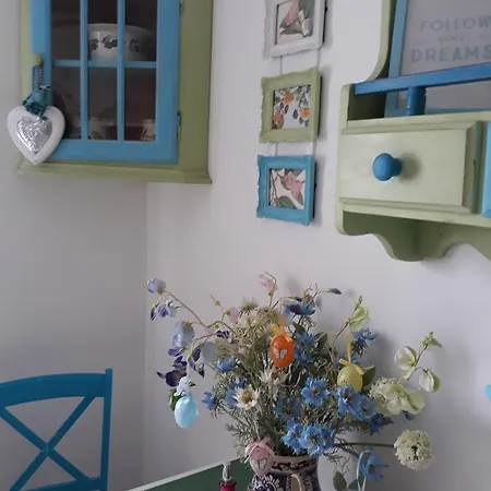 Apartment Sweet Garden Brasov