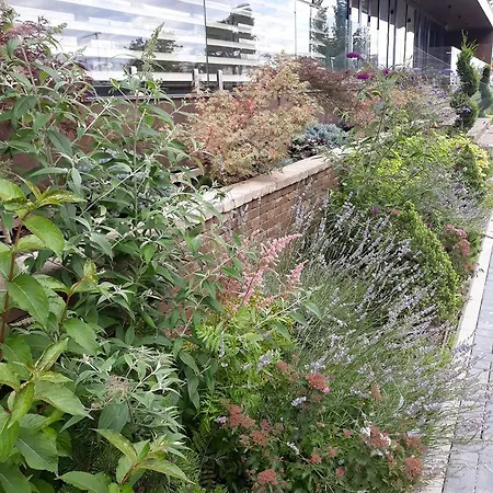 Sweet Garden Apartment