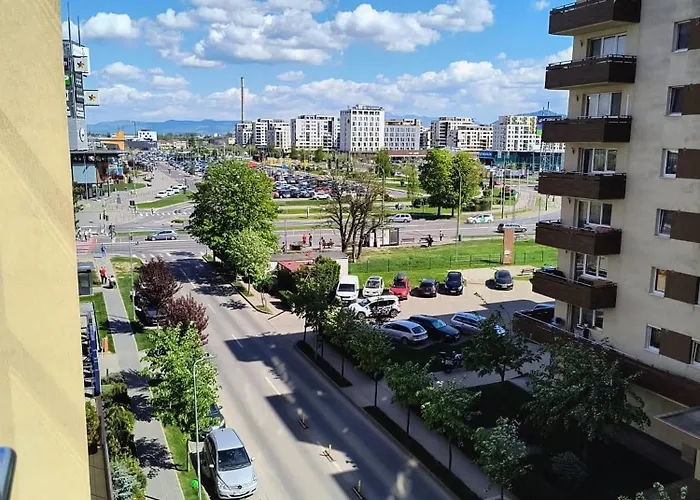 Sweet Garden * Braşov