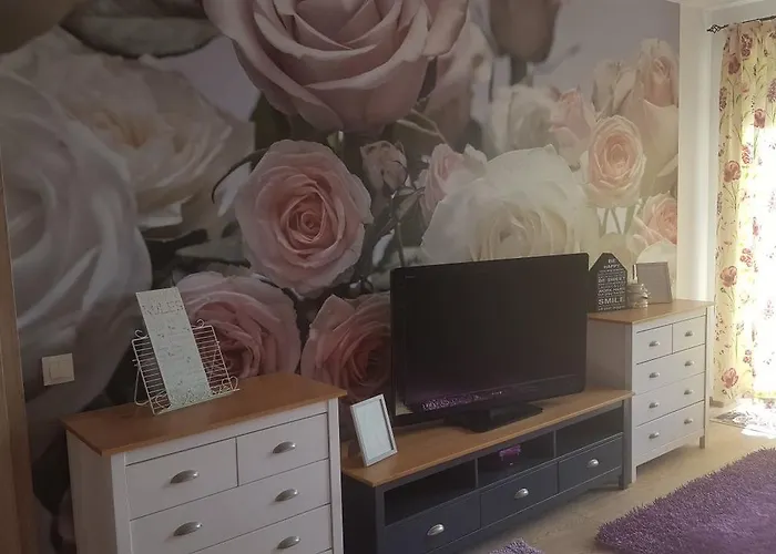 Sweet Garden Braşov