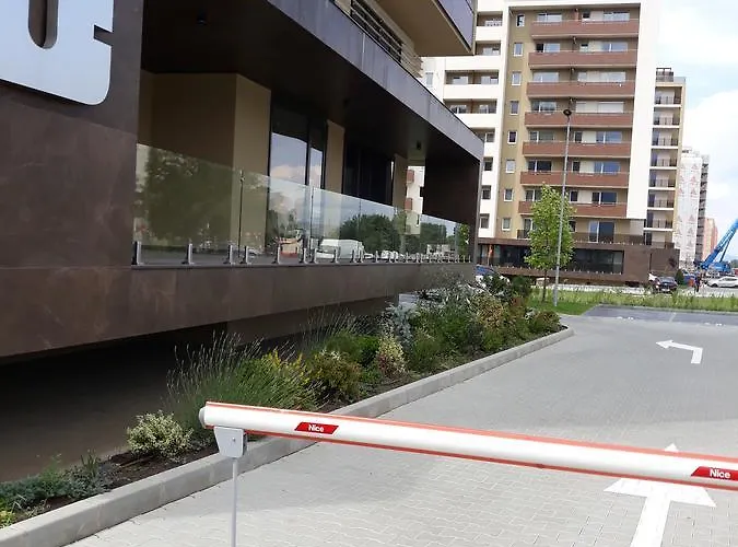 Sweet Garden * Braşov