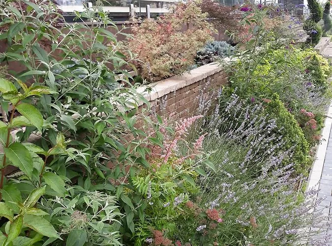 Sweet Garden Apartamento